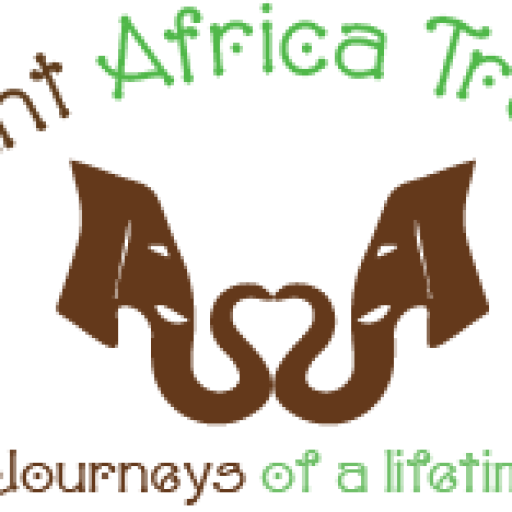 Elegant Africa Travels
