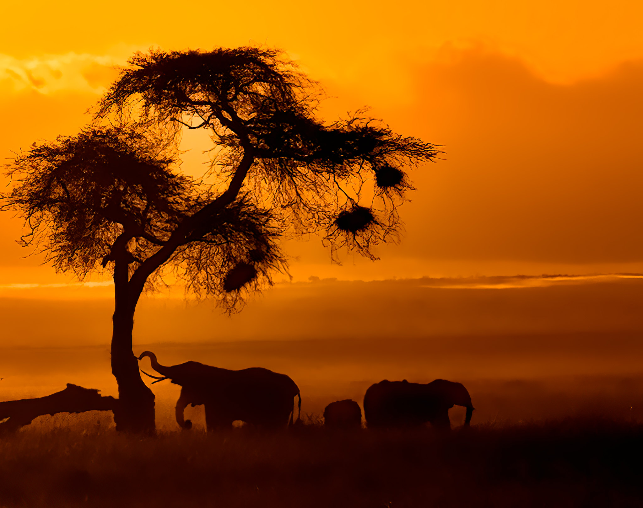 5-day Kenya wildlife safari - Gallery Image