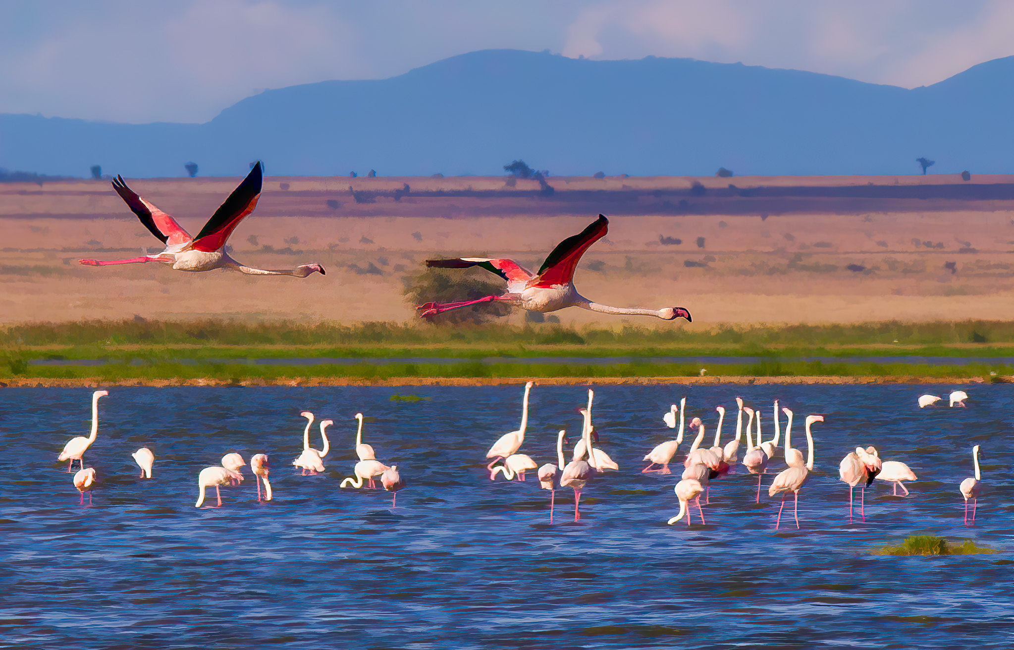 5-day Kenya wildlife safari - Gallery Image