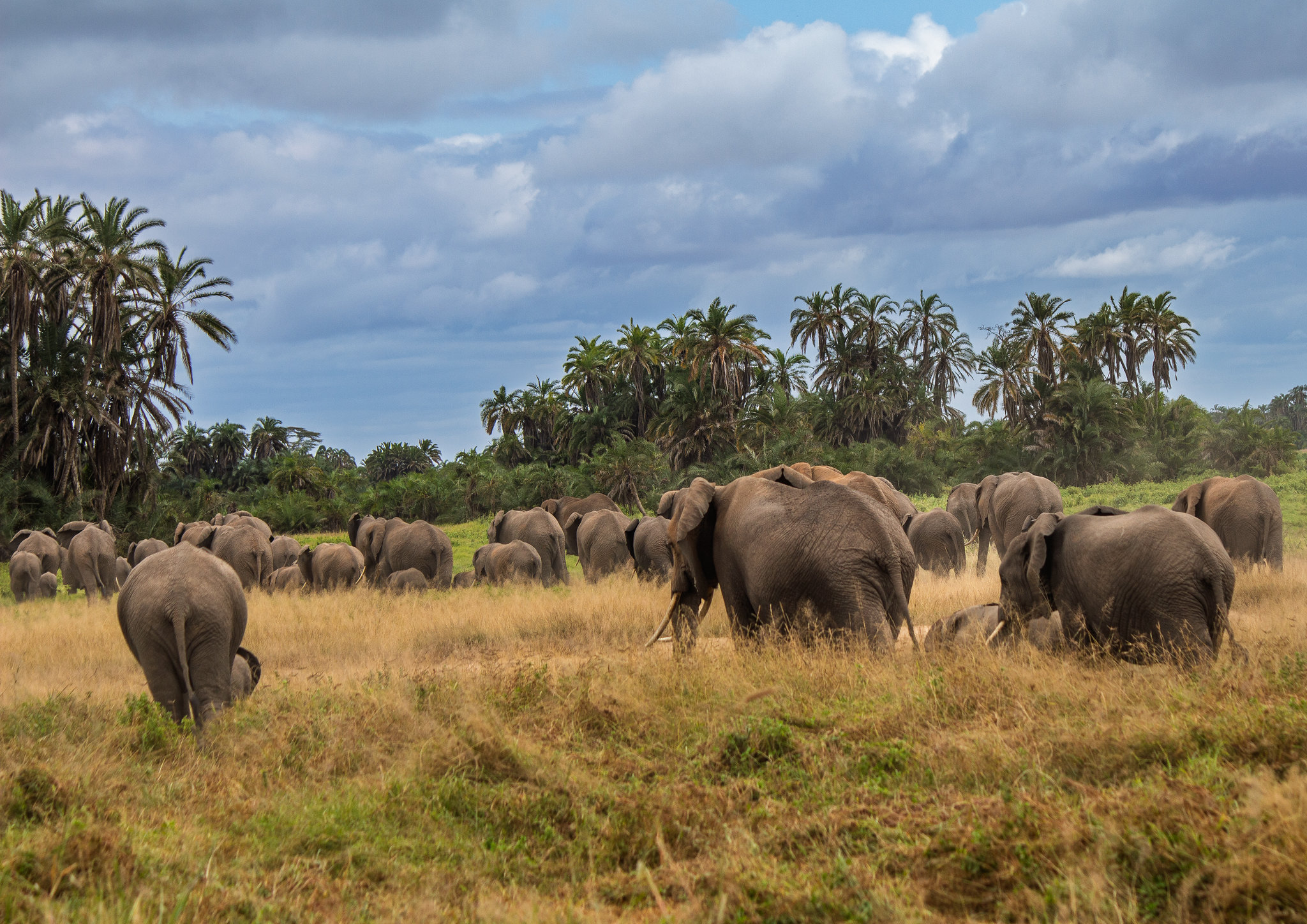 5-day Kenya wildlife safari - Gallery Image