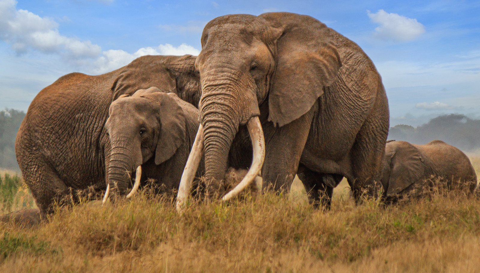 5-day Kenya wildlife safari - Gallery Image