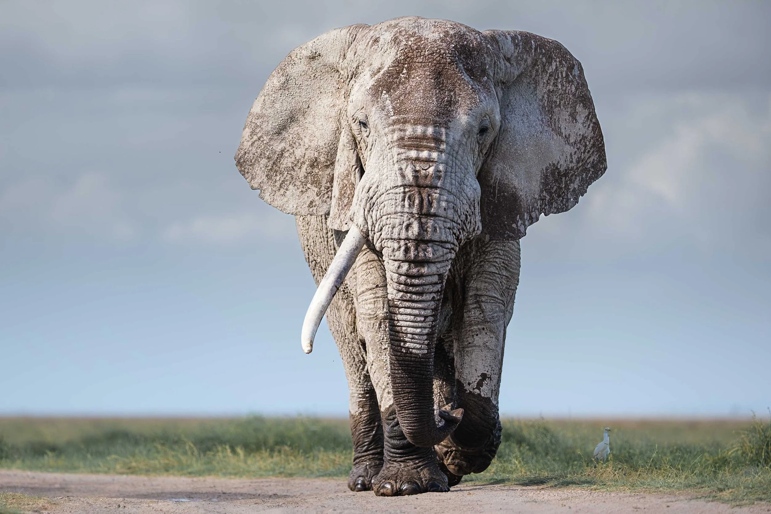 About Elegant Africa Travels