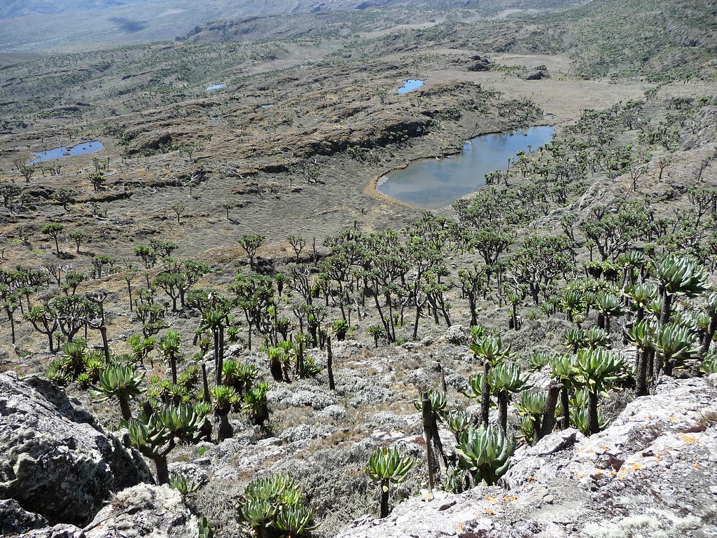 7-day Mount Elgon hiking tour - Gallery Image