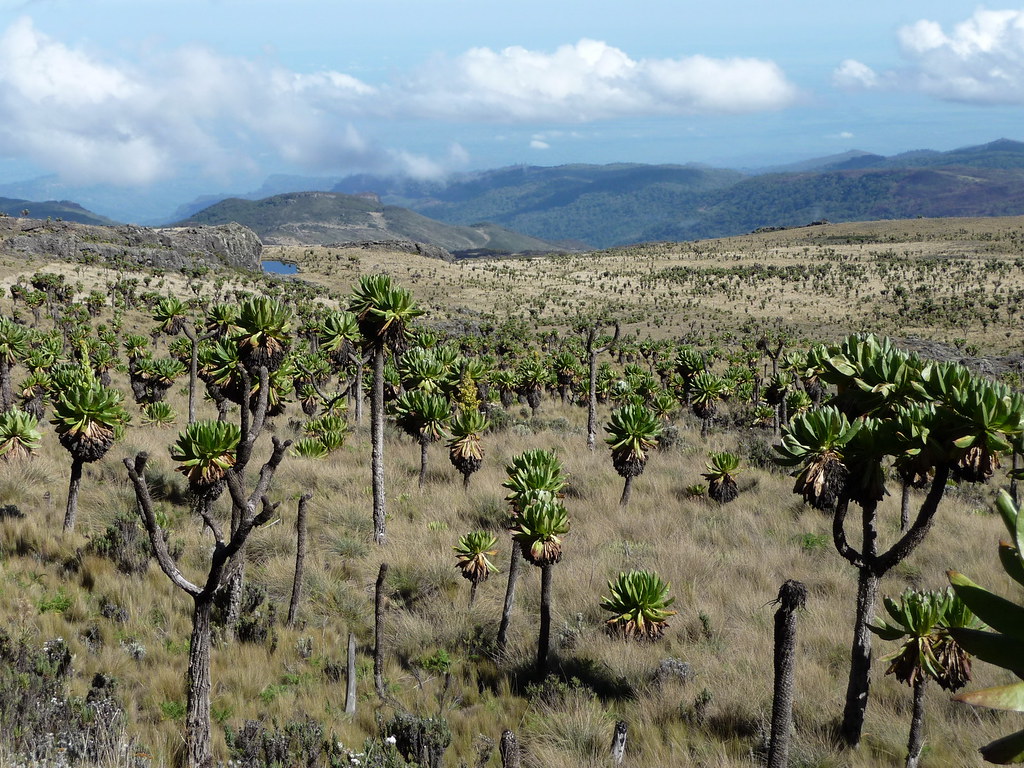 7-day Mount Elgon hiking tour - Gallery Image