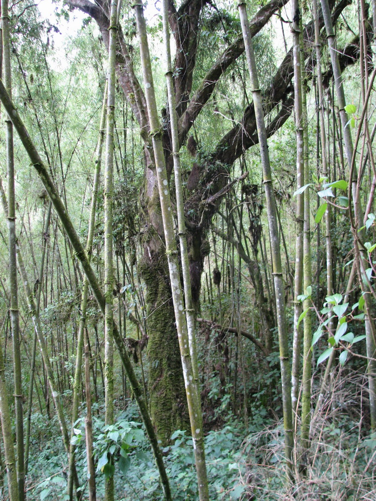 7-day Mount Elgon hiking tour - Gallery Image