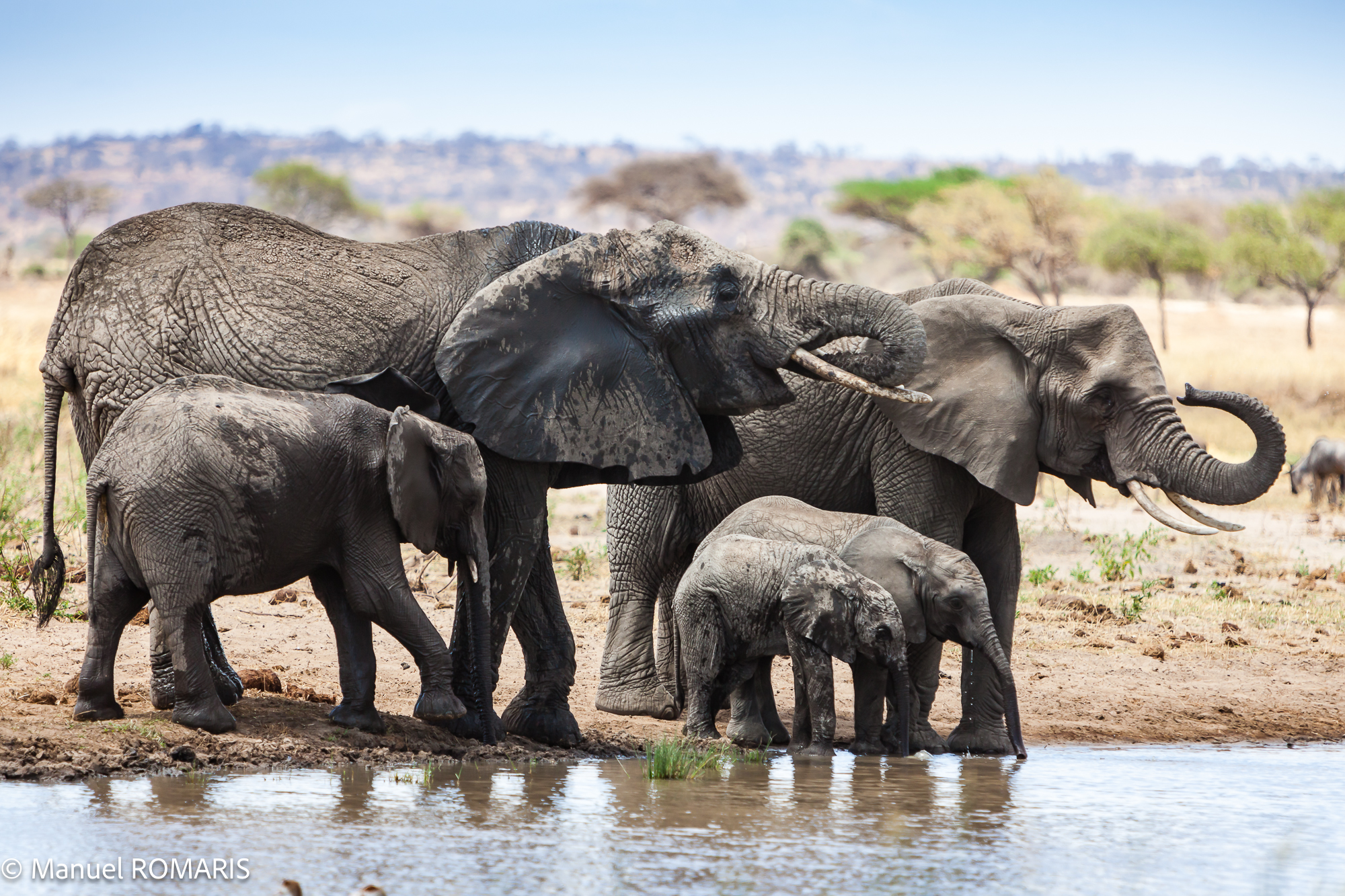 3-day safari to Tarangire National Park - Gallery Image