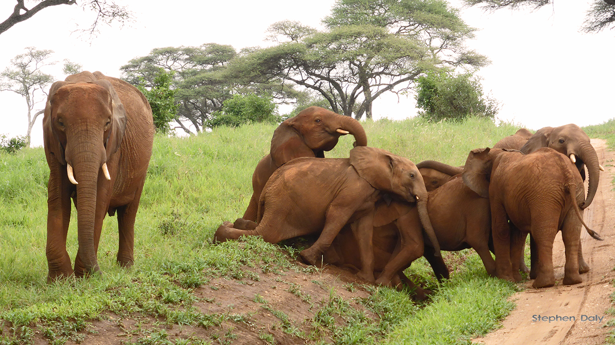6-day Tanzania adventure safaris - Gallery Image