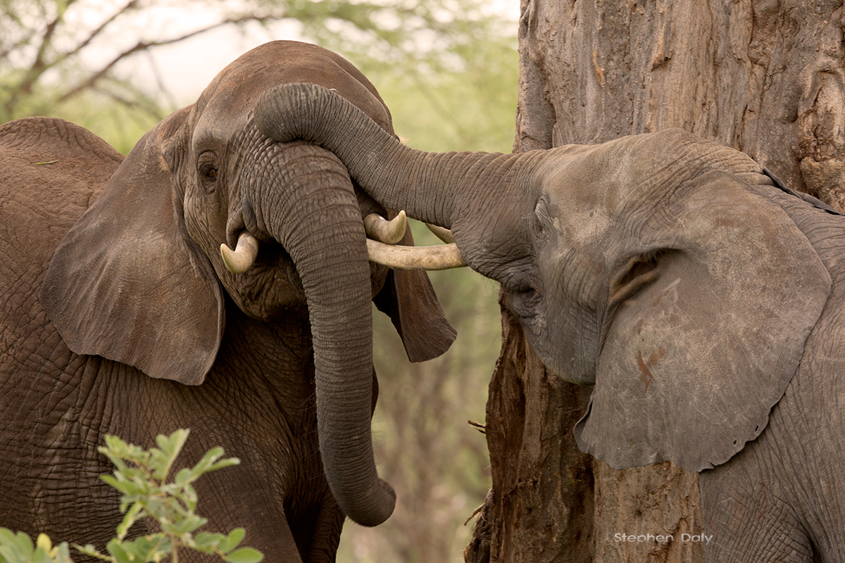 6-day Tanzania adventure safaris - Gallery Image