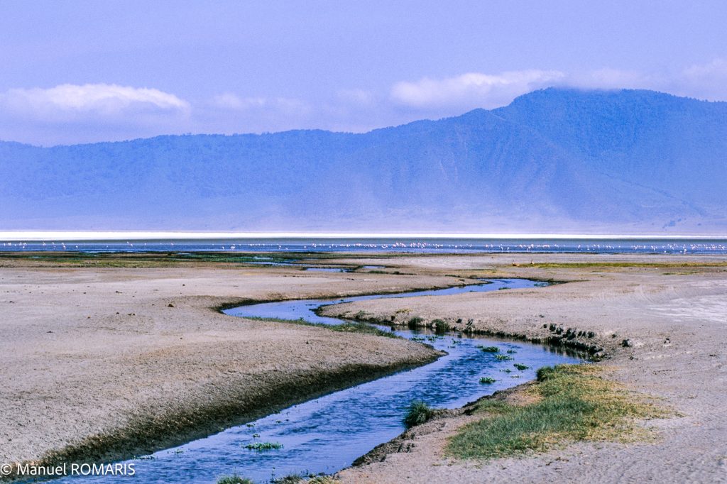 4-day Ngorongoro Crater Safari in Tanzania