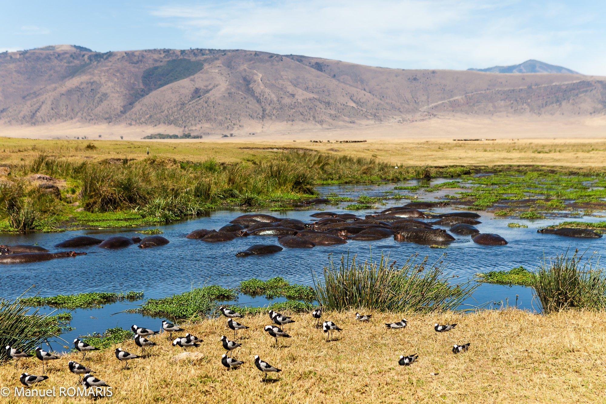 4-day Ngorongoro Crater Safari in Tanzania - Gallery Image