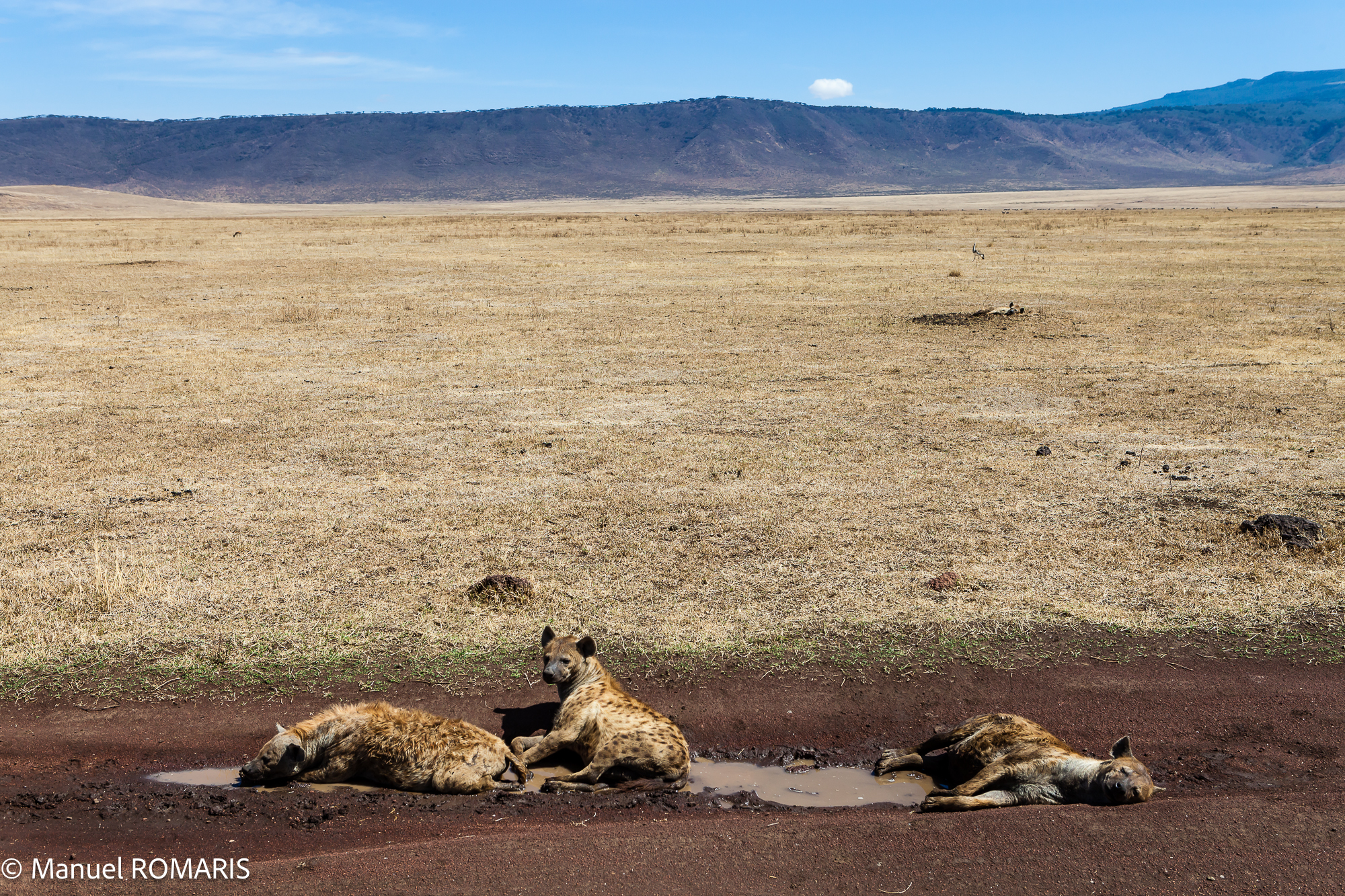 4-day Ngorongoro Crater Safari in Tanzania - Gallery Image