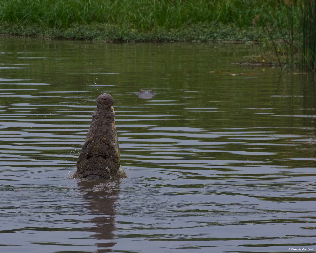 5-day Nile Adventure & Murchison Falls Safari - Gallery Image