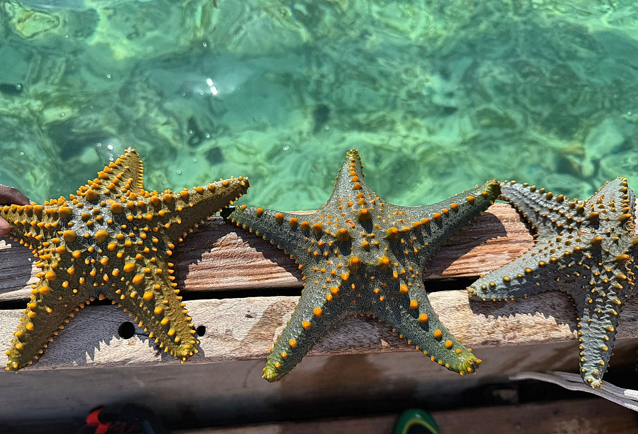 3-day beach vacation in Tanzania - Gallery Image