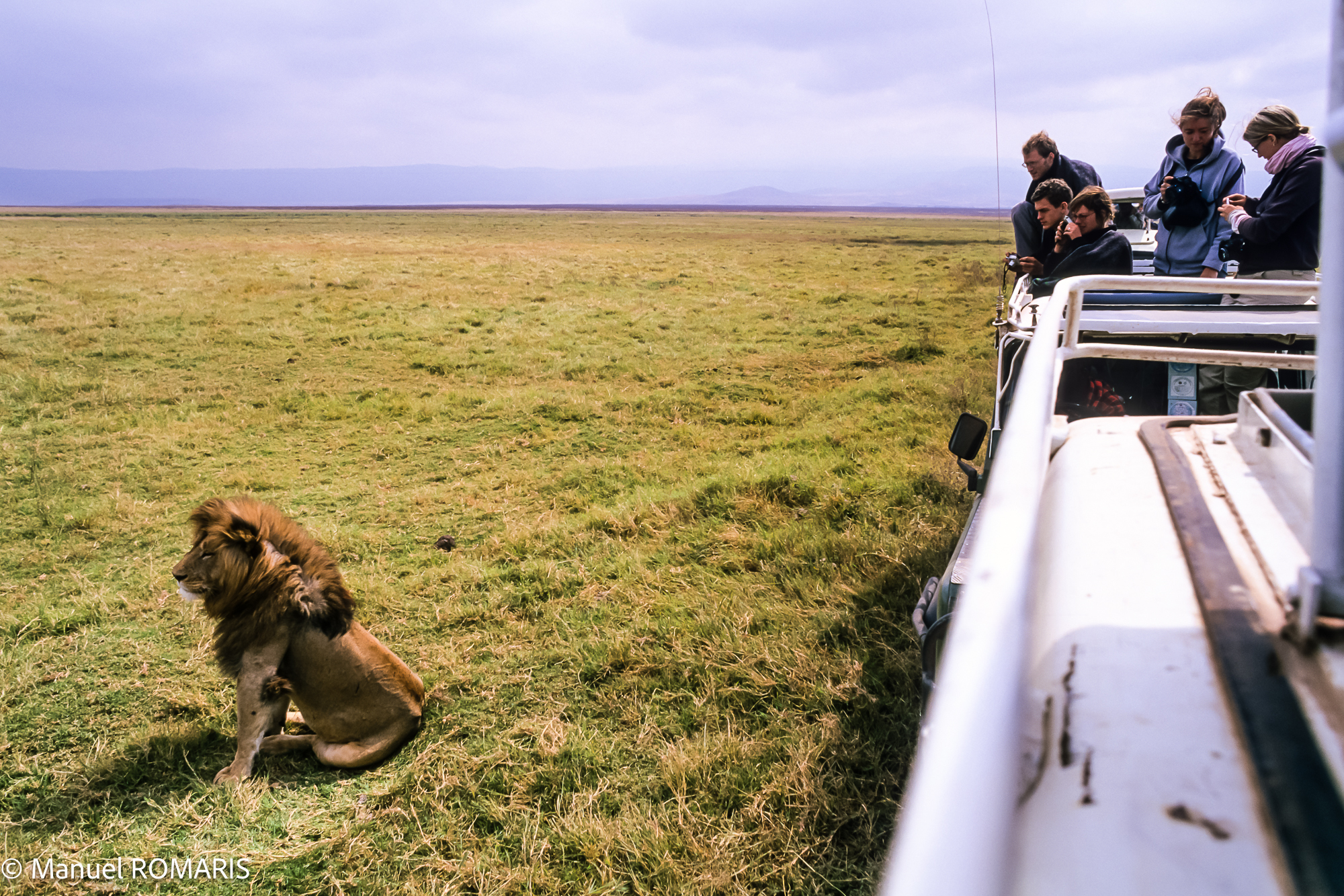 4-day Ngorongoro Crater Safari in Tanzania - Gallery Image