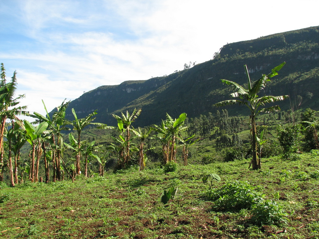 7-day Mount Elgon hiking tour - Gallery Image