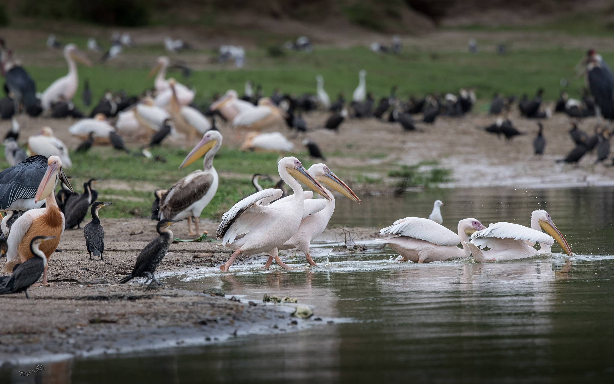 4-day Queen Elizabeth National Park itinerary - Gallery Image