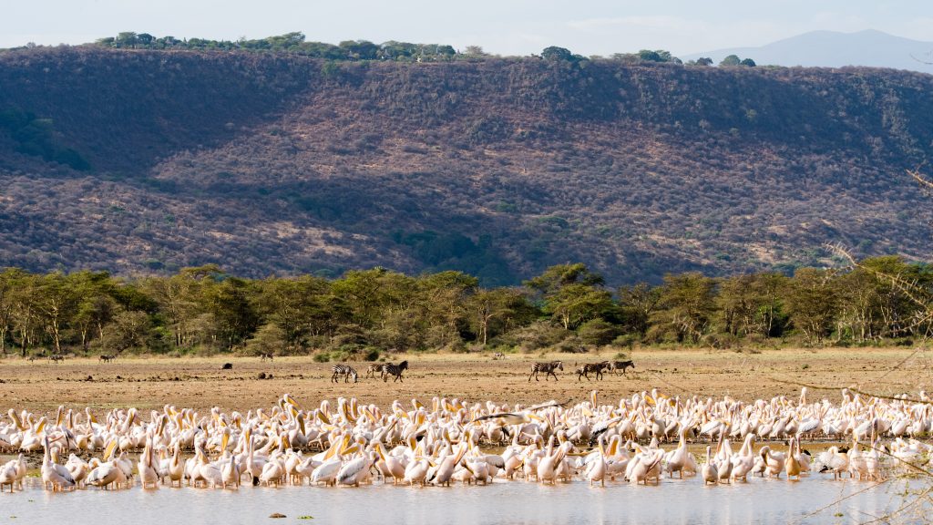 Lake Manyara National Park
