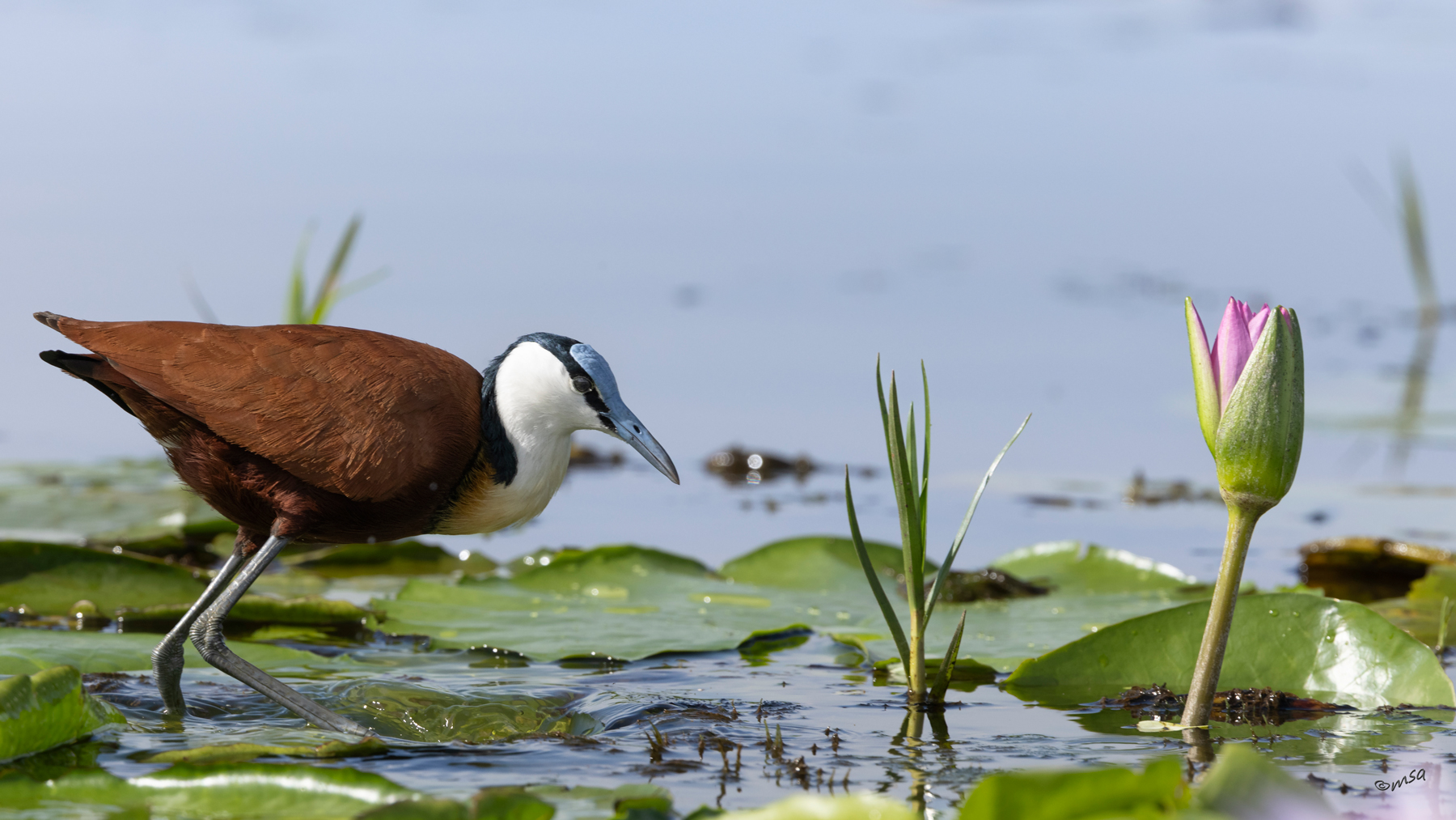 4-day Queen Elizabeth National Park itinerary - Gallery Image