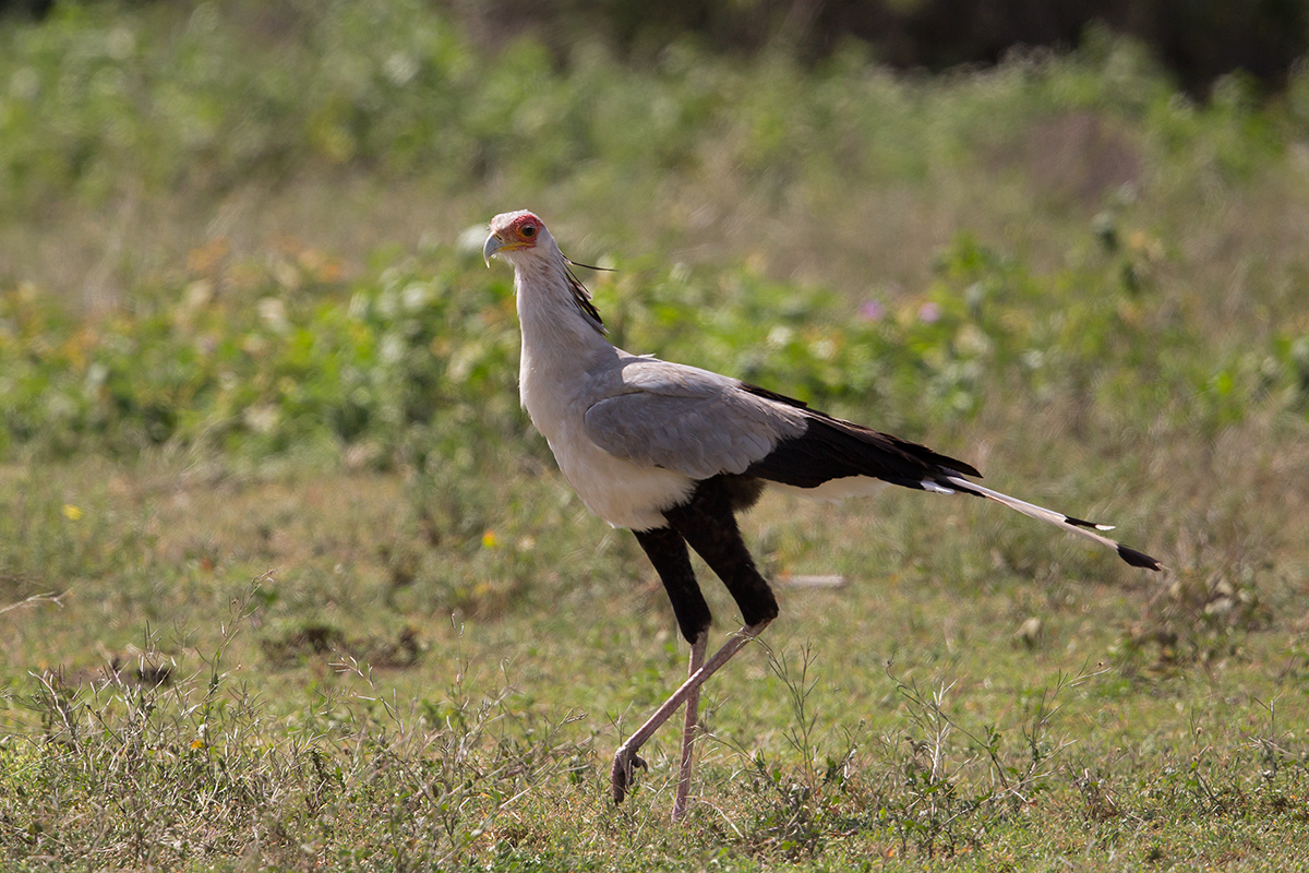 6-day Tanzania adventure safaris - Gallery Image