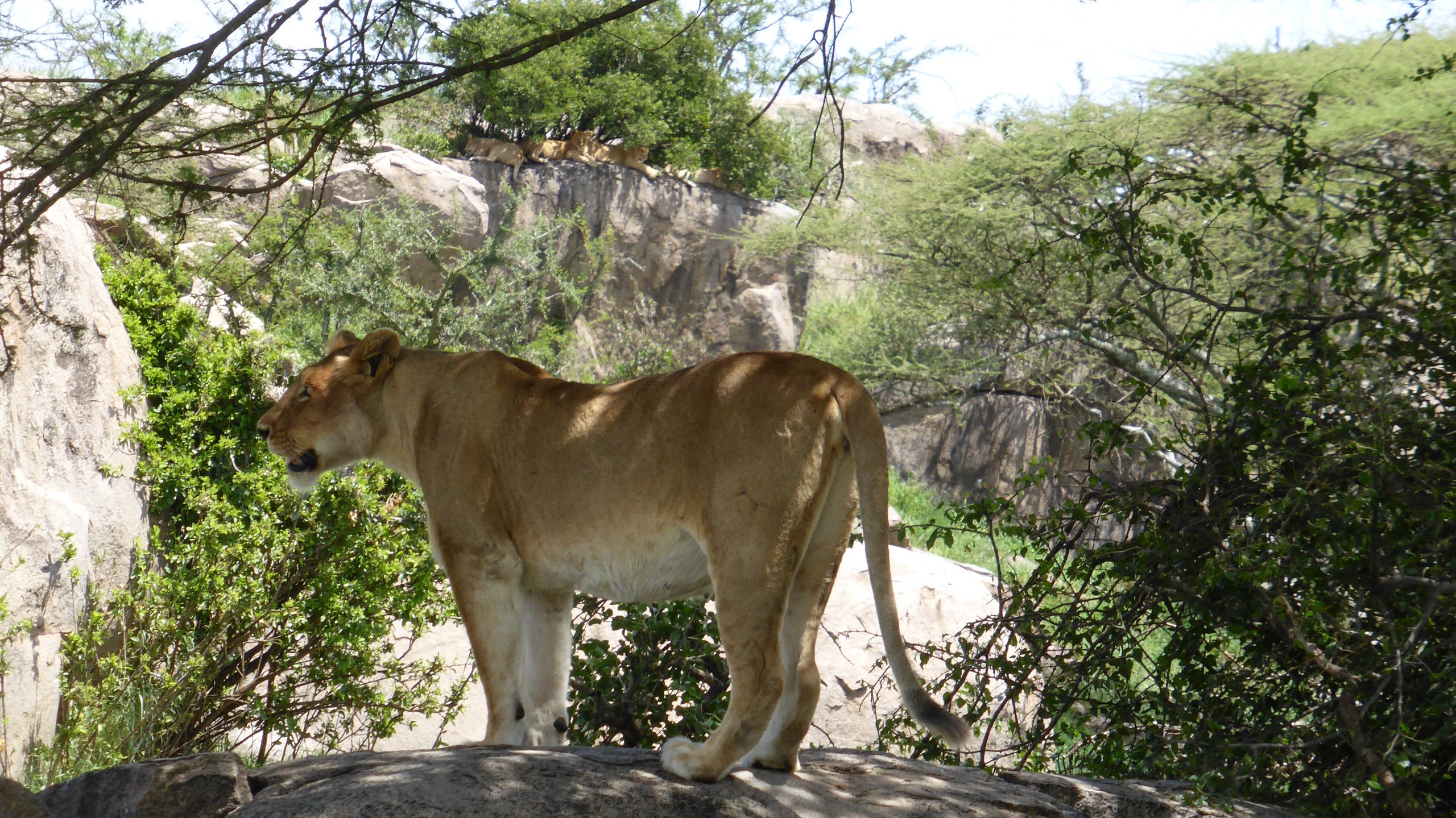 6-day Tanzania adventure safaris - Gallery Image