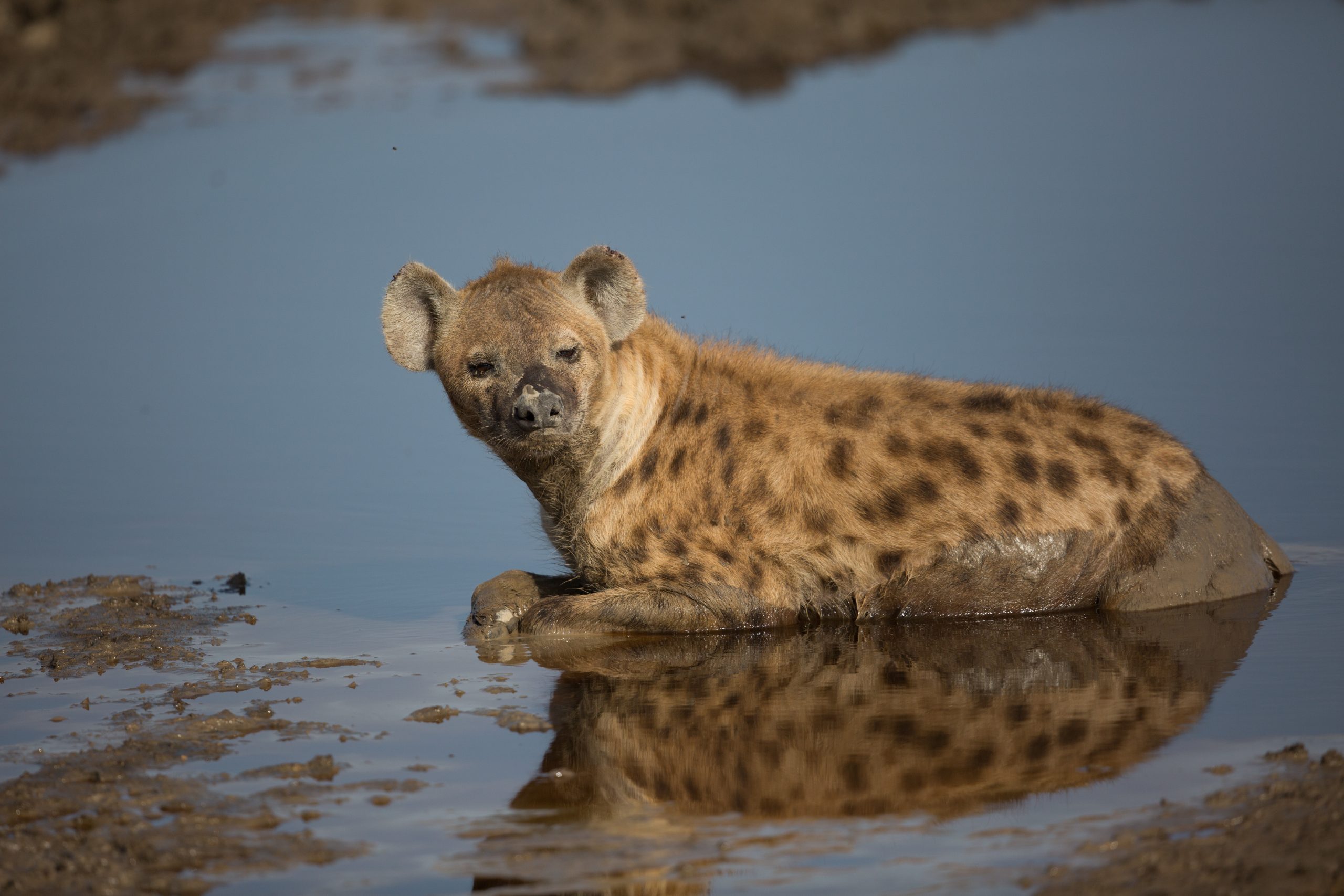 6-day Tanzania adventure safaris - Gallery Image
