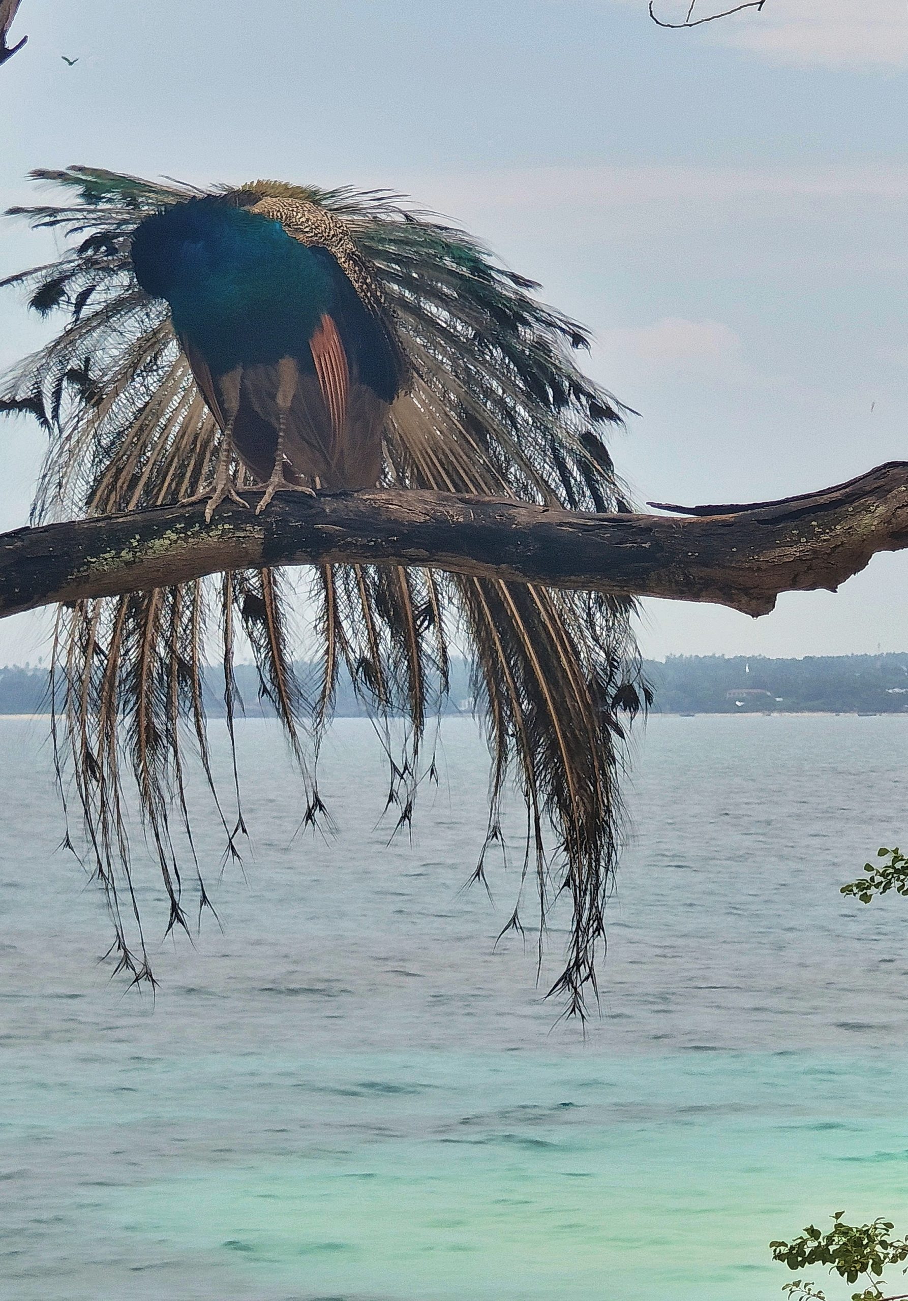 3-day beach vacation in Tanzania - Gallery Image