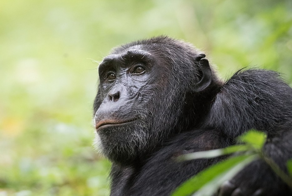 4-day Queen Elizabeth National Park itinerary - Gallery Image