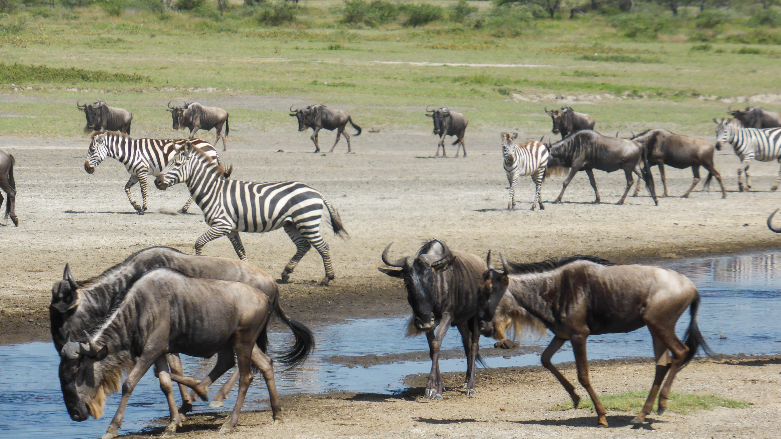 6-day Tanzania adventure safaris - Gallery Image