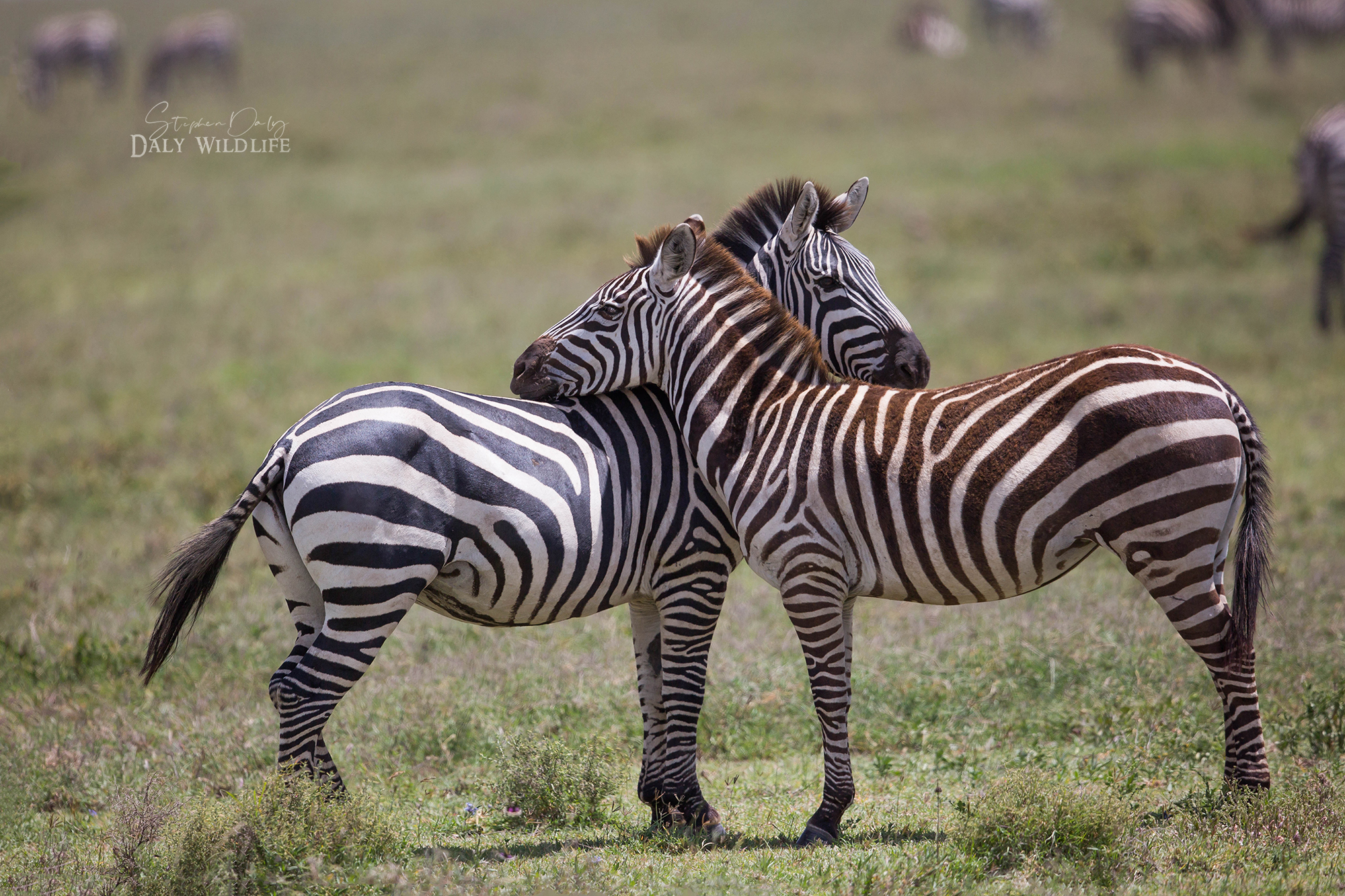 6-day Tanzania adventure safaris - Gallery Image